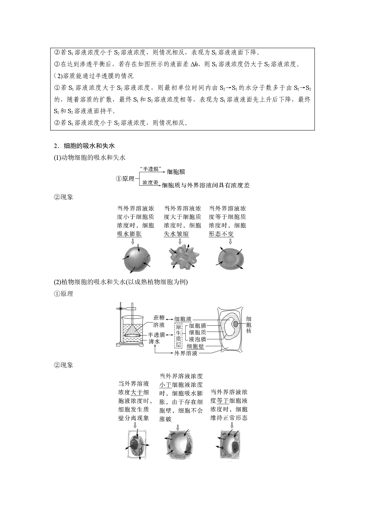 第二单元 第5课时　水进出细胞的原理.docx 第2页