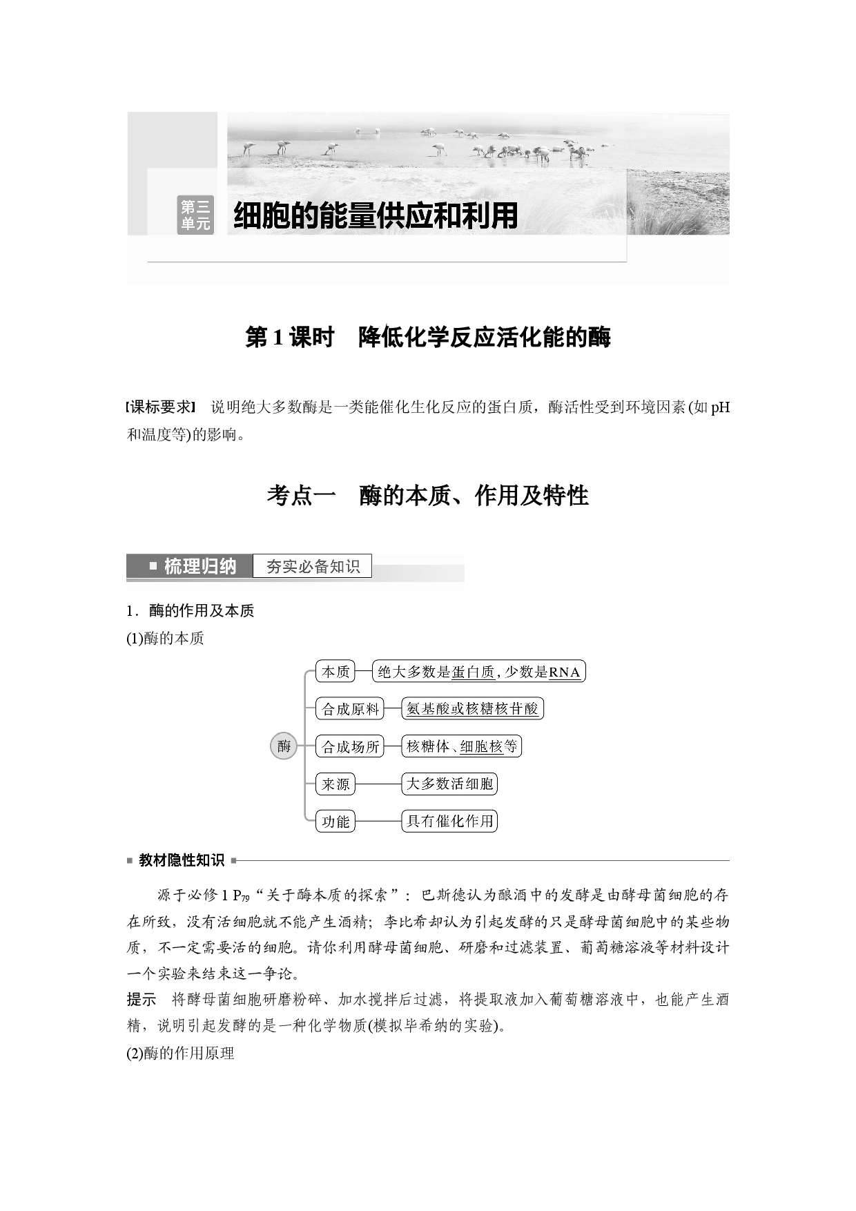第三单元 第1课时　降低化学反应活化能的酶.docx 第1页