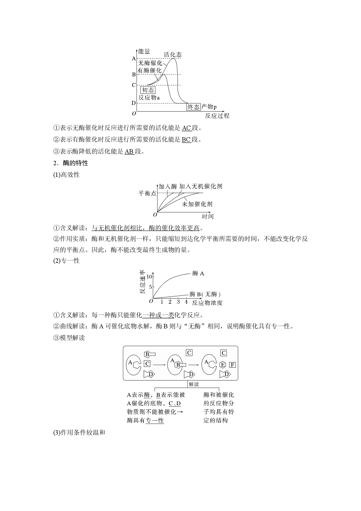 第三单元 第1课时　降低化学反应活化能的酶.docx 第2页