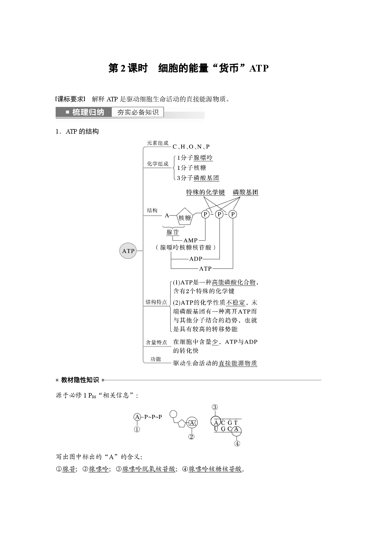 第三单元 第2课时　细胞的能量&ldquo;货币&rdquo;ATP.docx 第1页