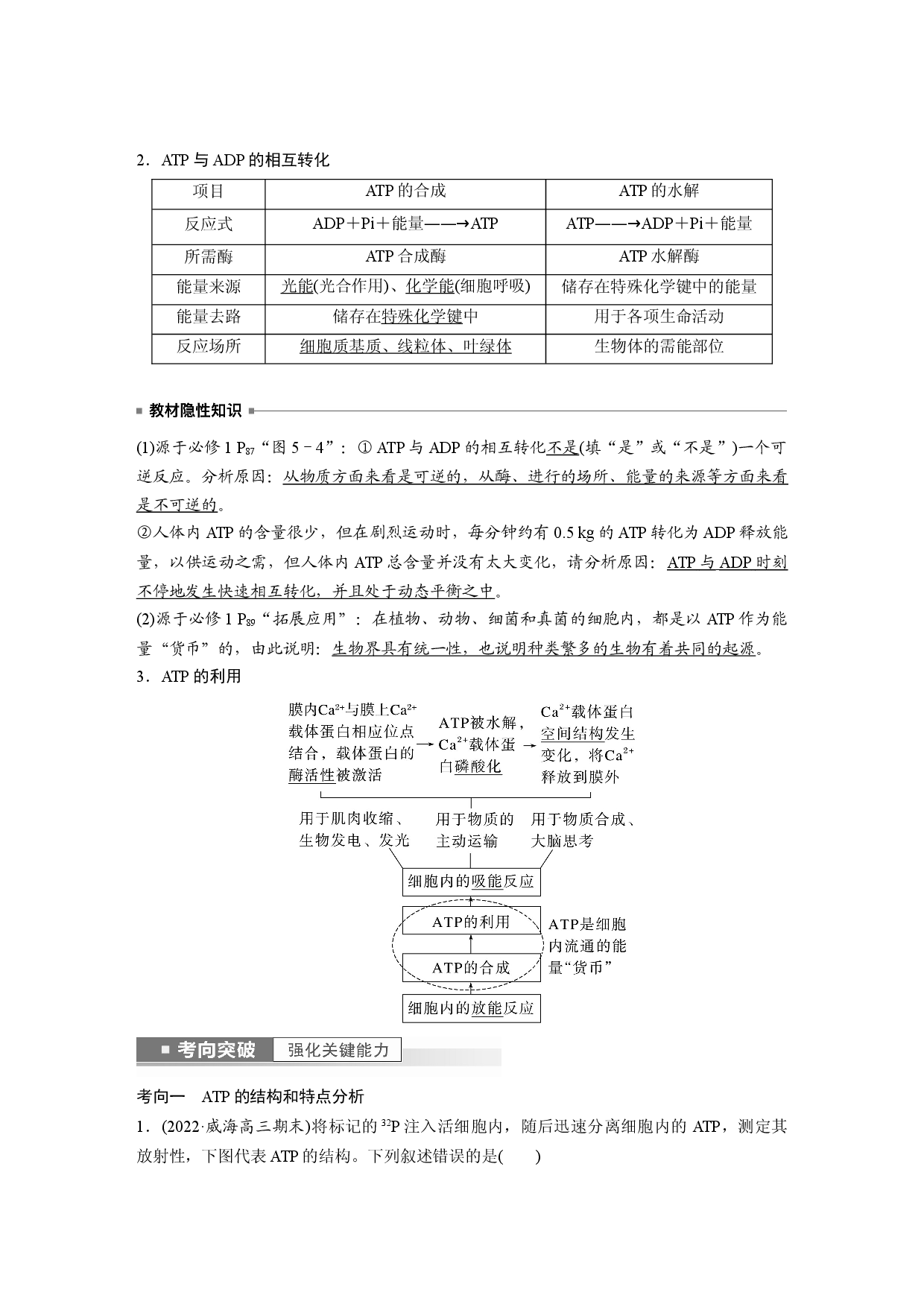 第三单元 第2课时　细胞的能量&ldquo;货币&rdquo;ATP.docx 第2页