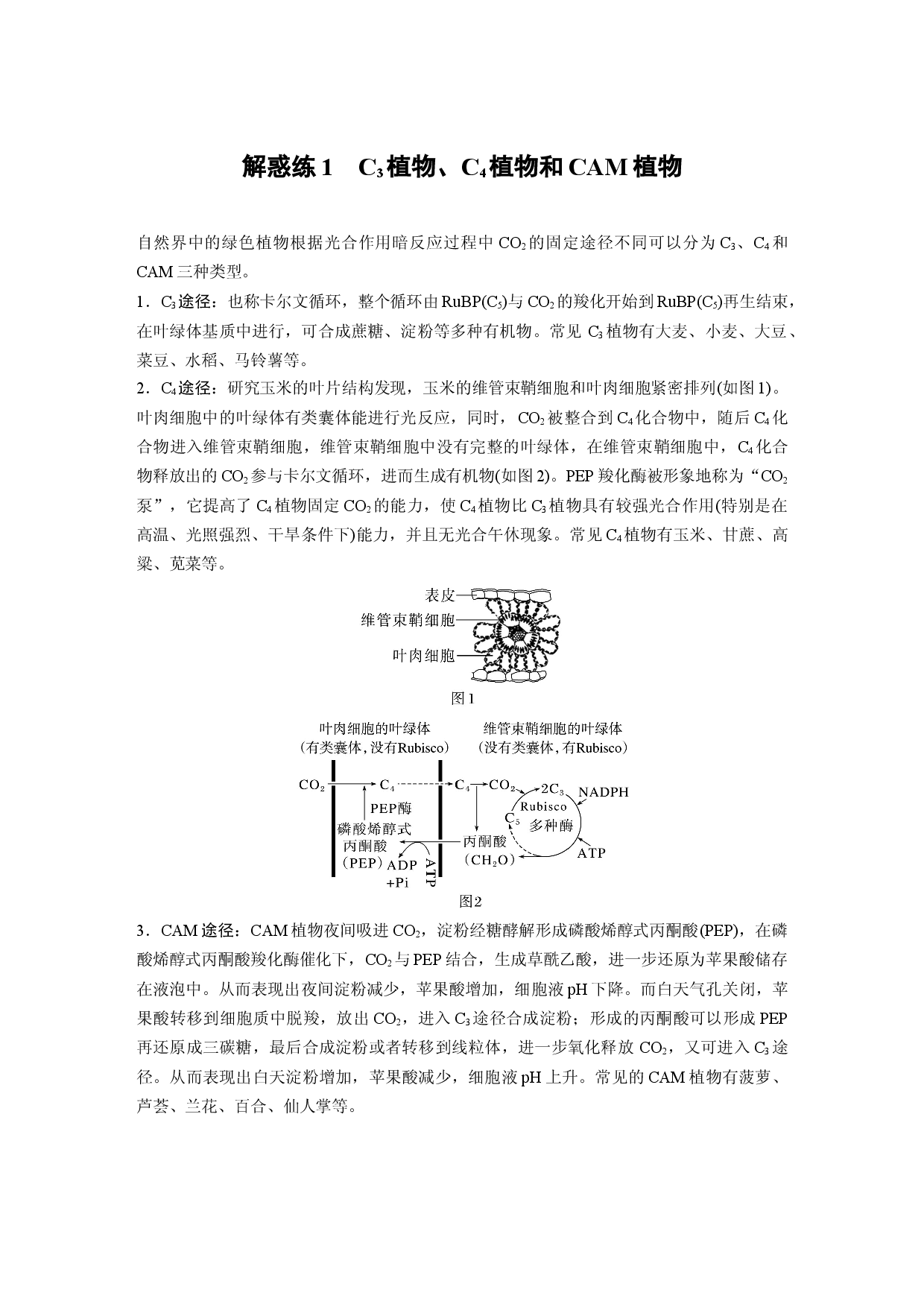 第三单元 解惑练1　C3植物、C4植物和CAM植物.docx 第1页