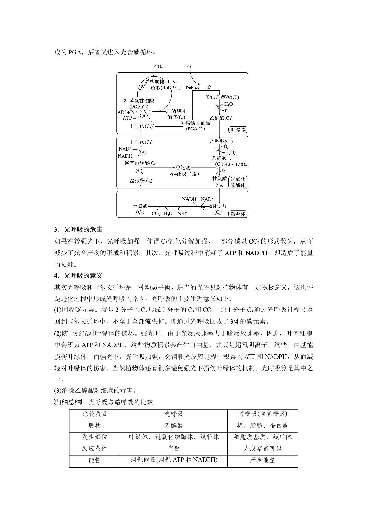 第三单元 解惑练2　光呼吸.docx 第2页