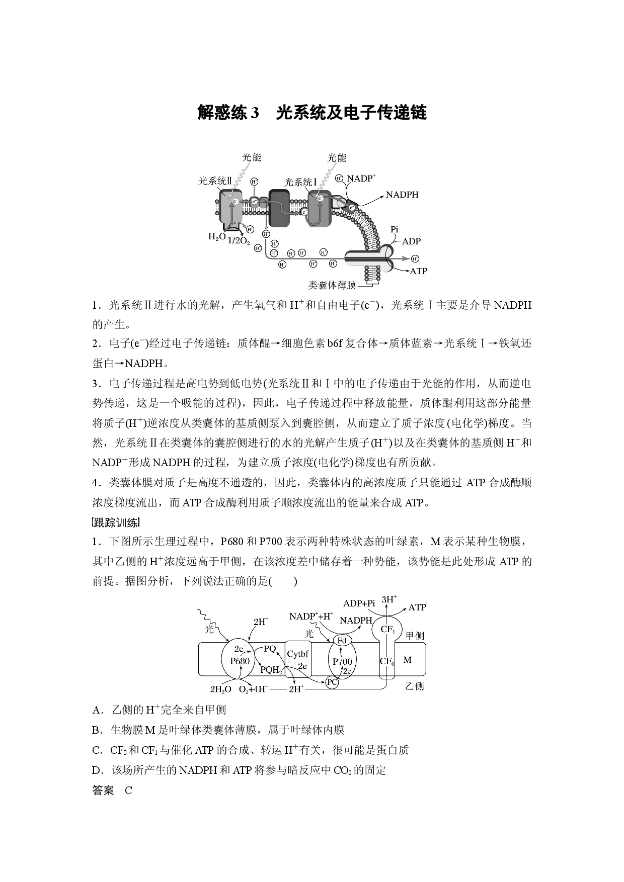 第三单元 解惑练3　光系统及电子传递链.docx 第1页