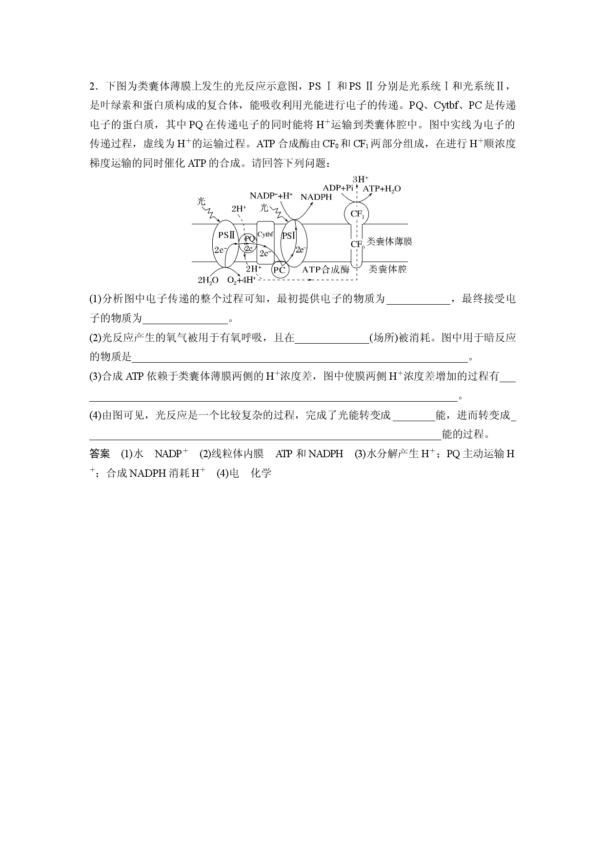 第三单元 解惑练3　光系统及电子传递链.docx 第2页