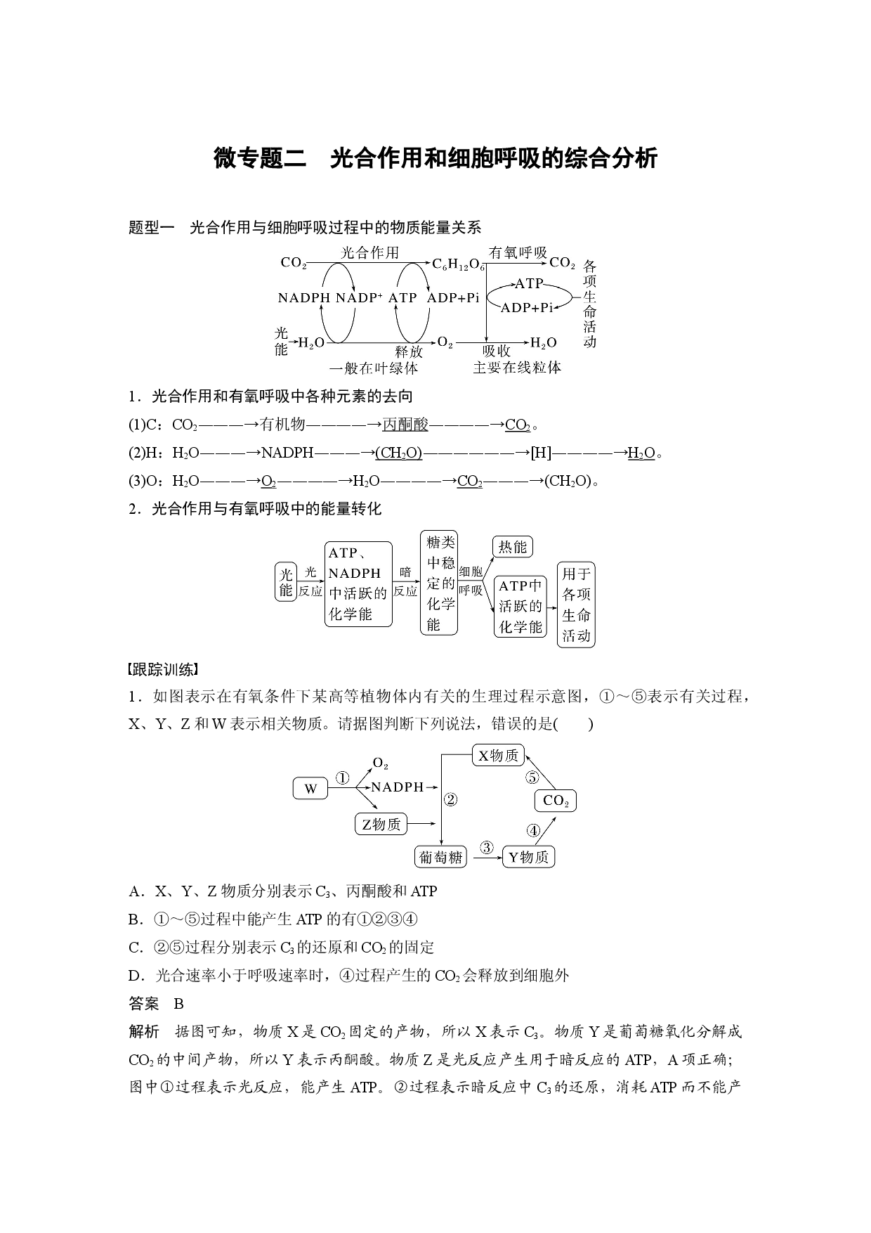 第三单元 微专题二　光合作用和细胞呼吸的综合分析.docx 第1页