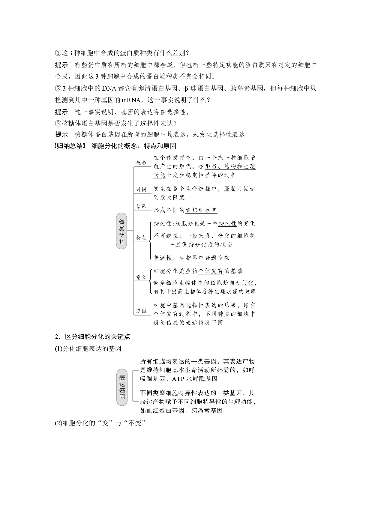 第四单元 第5课时　细胞的分化、衰老和死亡.docx 第2页