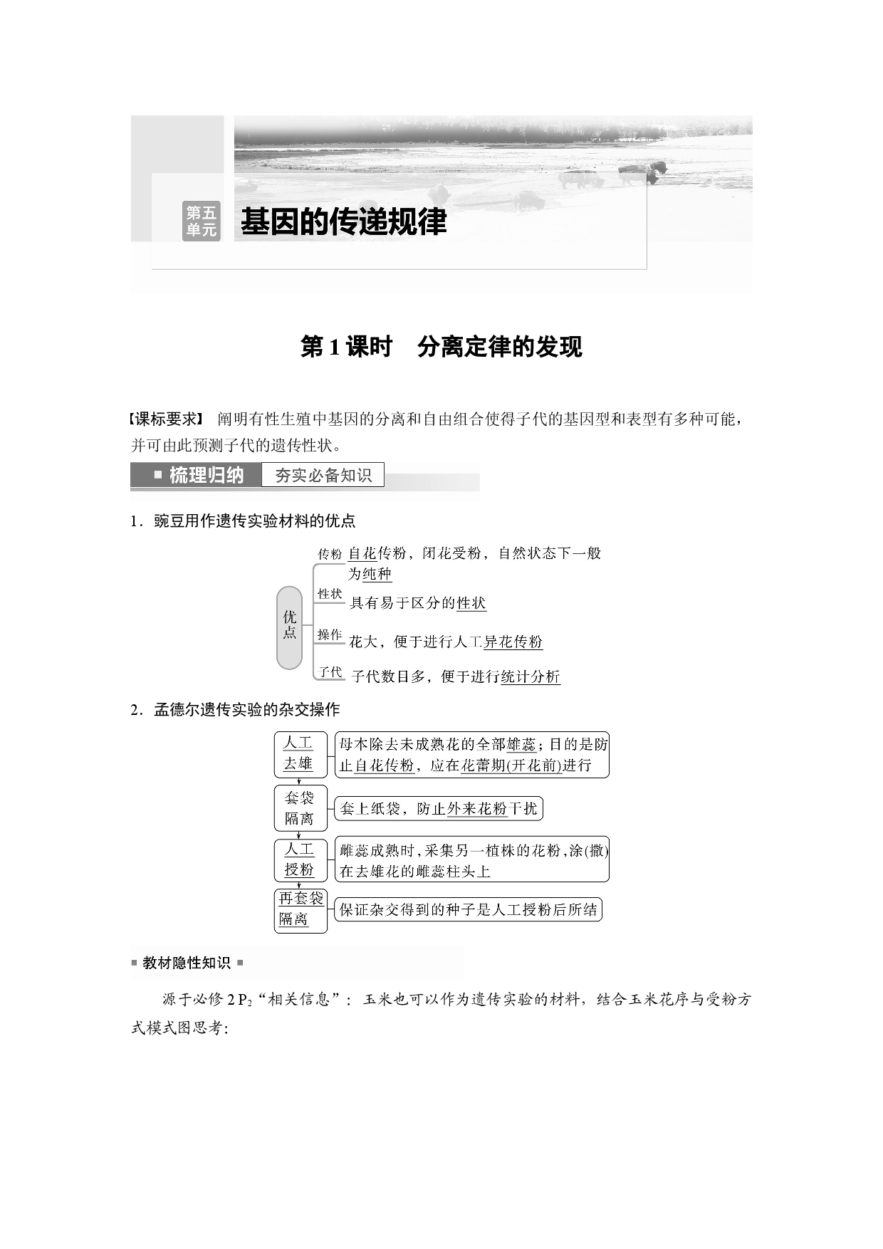 第五单元 第1课时　分离定律的发现.docx 第1页