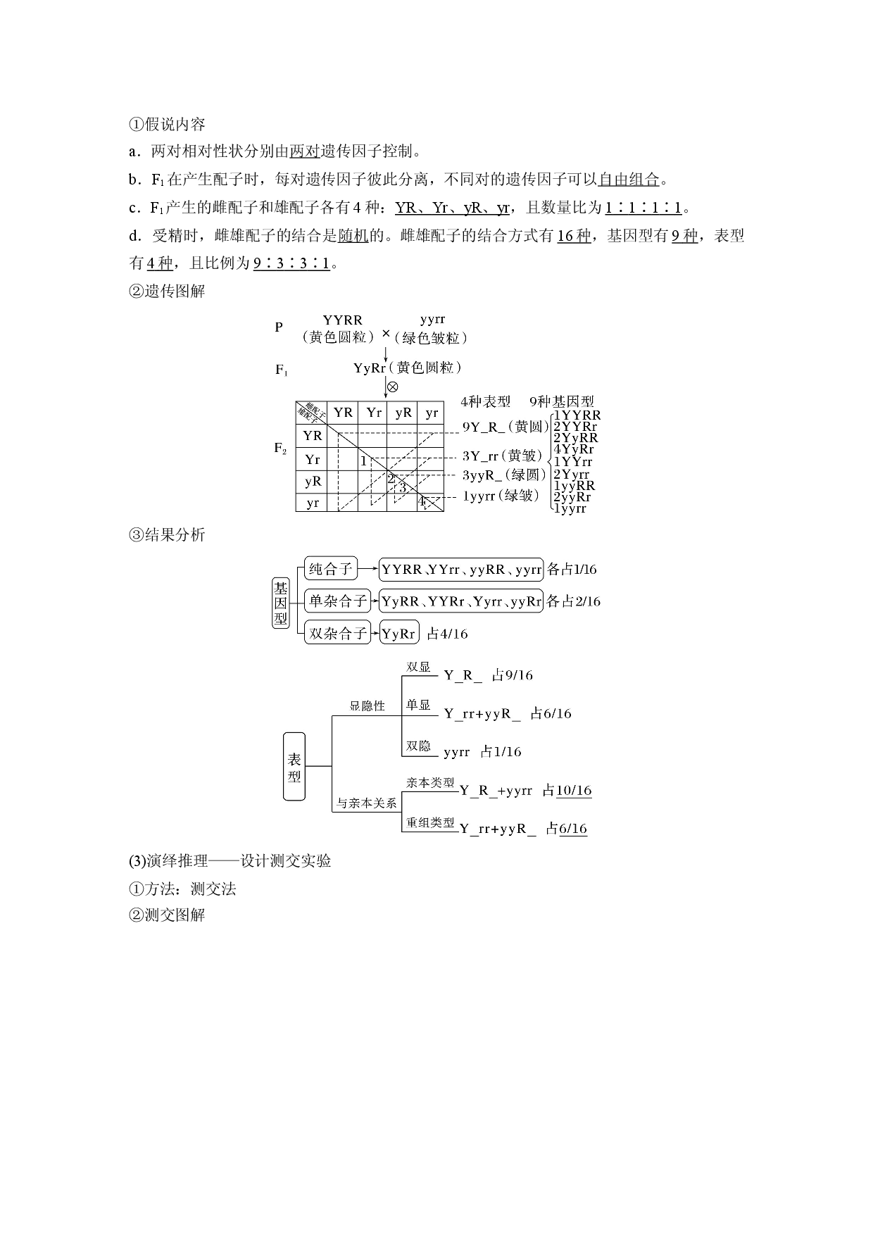 第五单元 第3课时　自由组合定律的发现及应用.docx 第2页