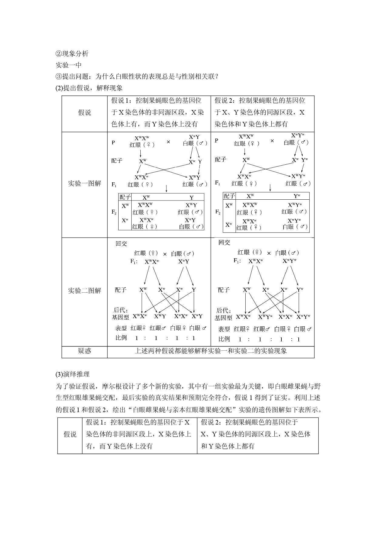 第五单元 第5课时　基因在染色体上的假说与证据.docx 第2页