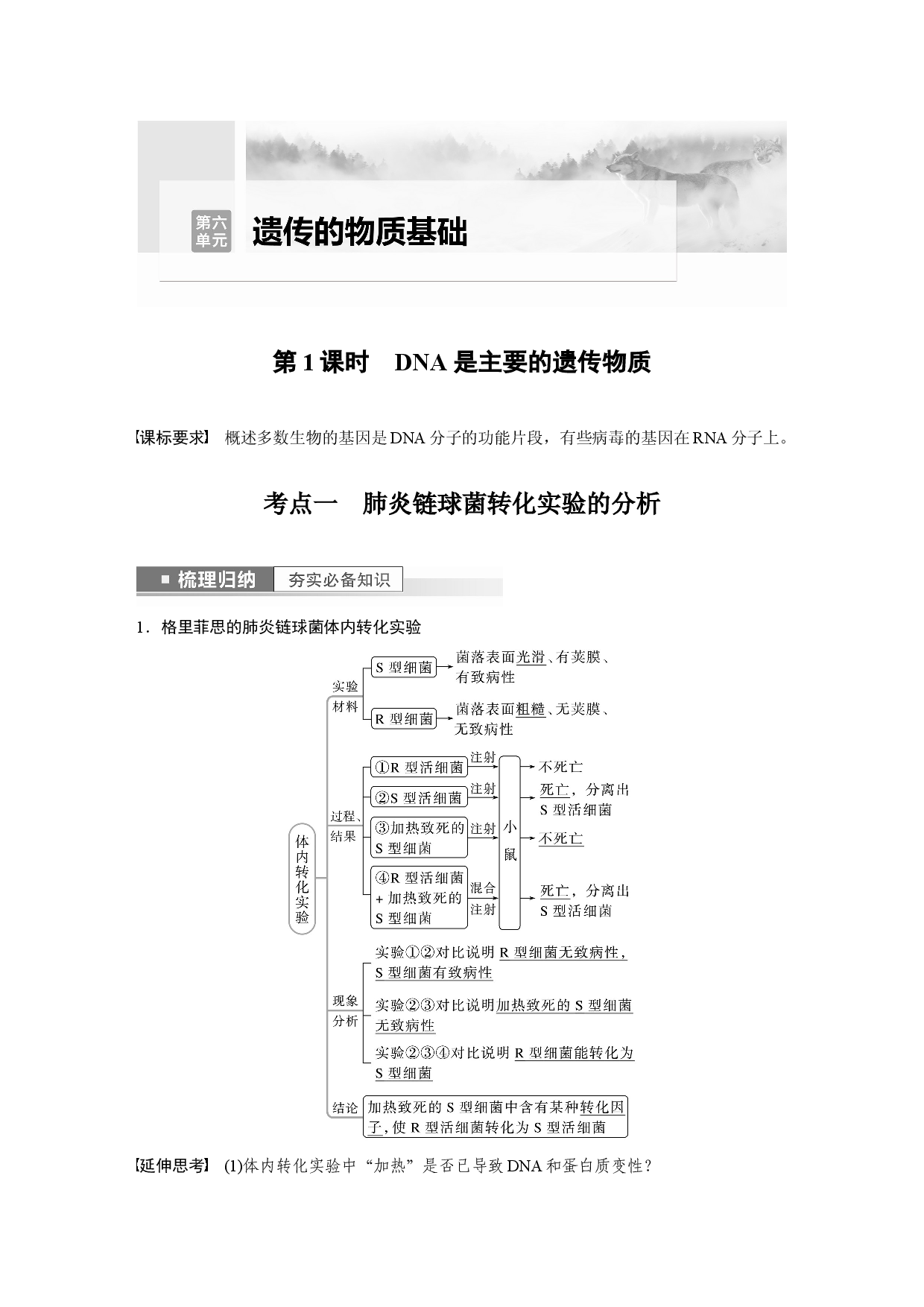 第六单元 第1课时　DNA是主要的遗传物质.docx 第1页