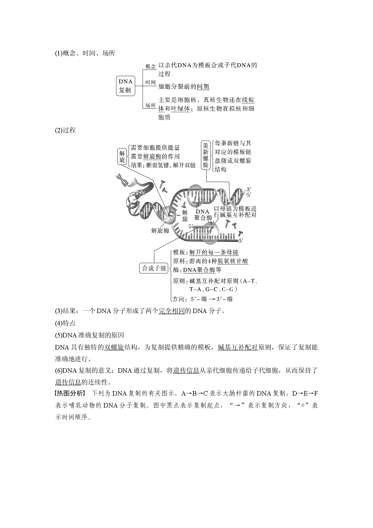 第六单元 第3课时　DNA的复制.docx 第2页