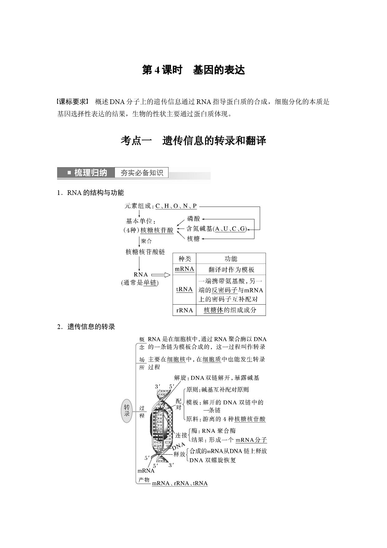 第六单元 第4课时　基因的表达.docx 第1页