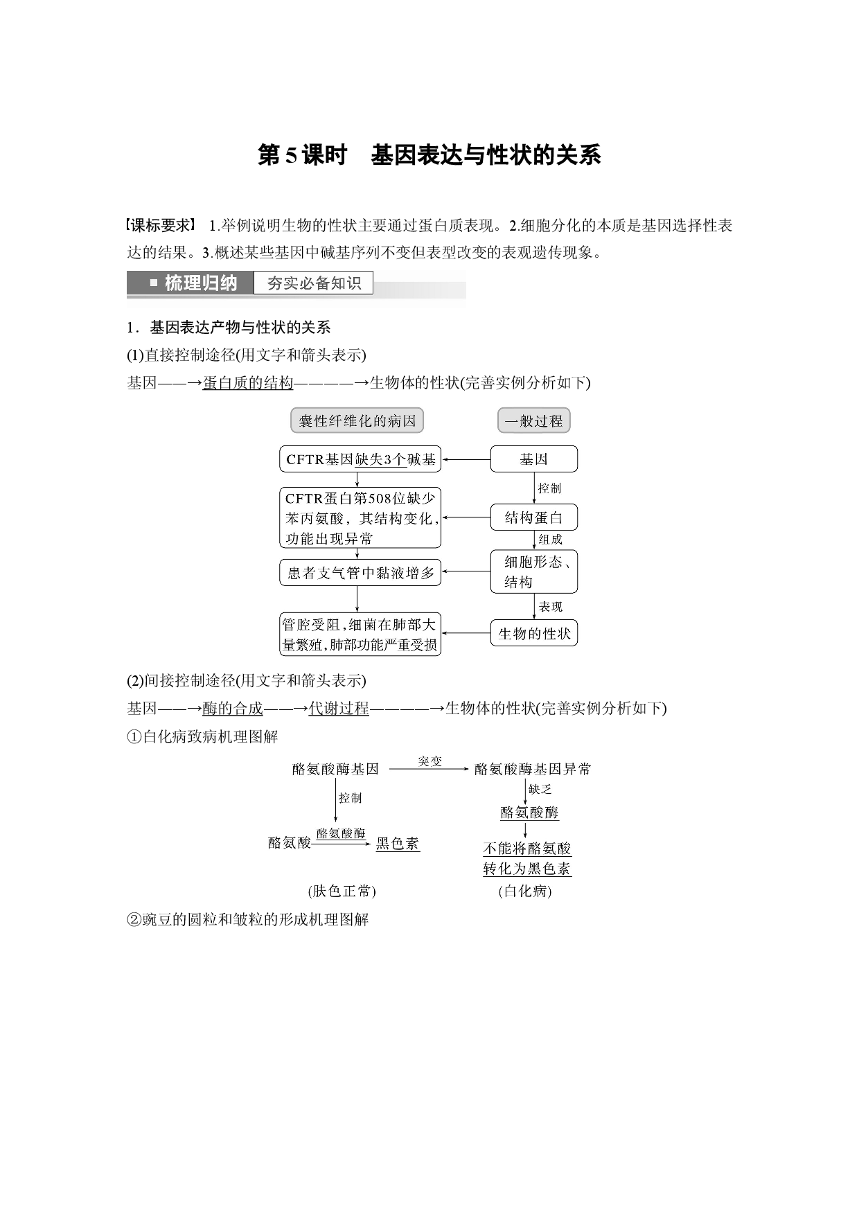 第六单元 第5课时　基因表达与性状的关系.docx 第1页