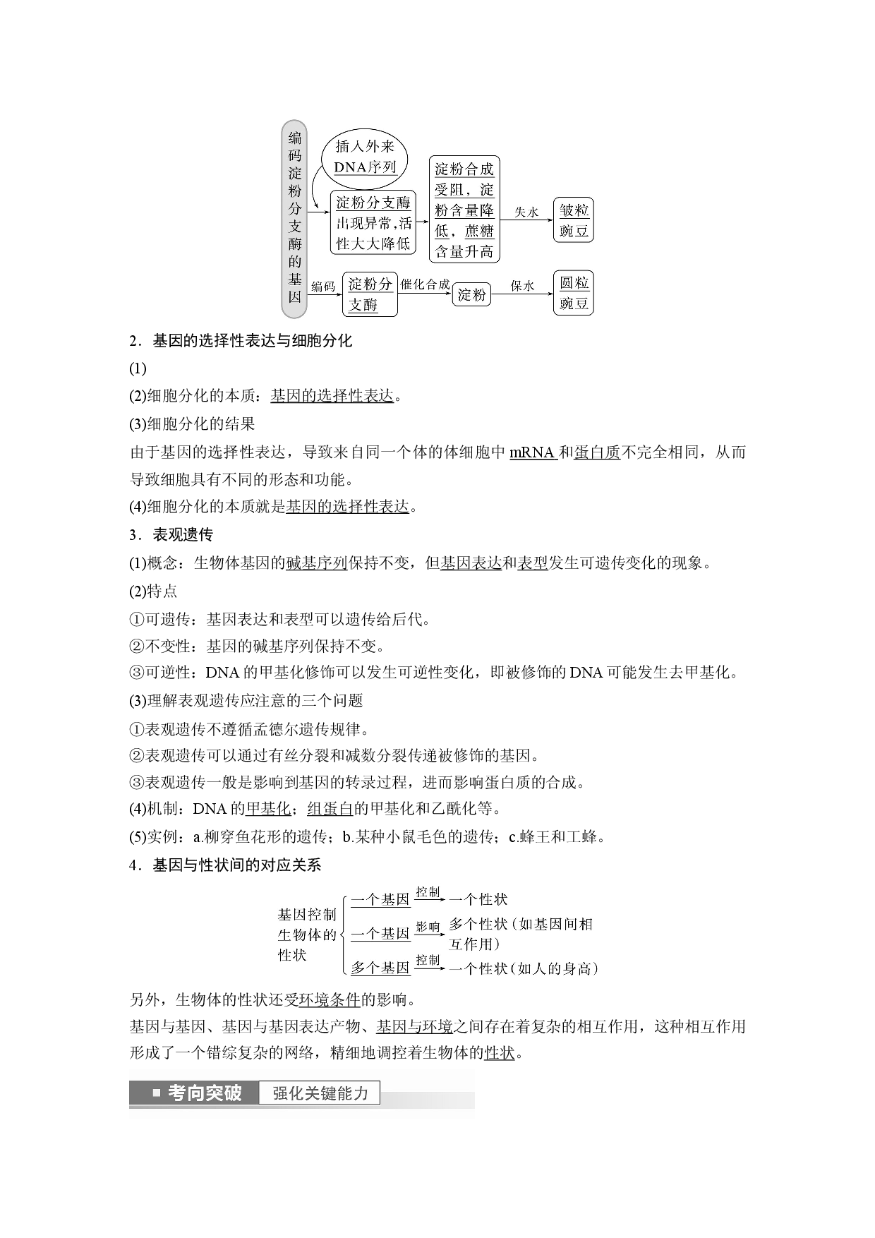 第六单元 第5课时　基因表达与性状的关系.docx 第2页