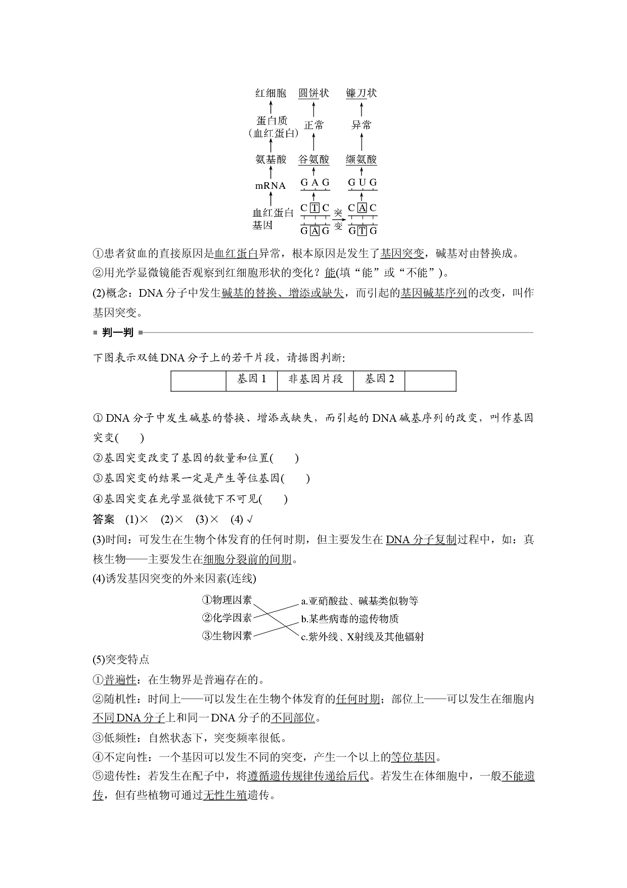 第七单元 第1课时　基因突变和基因重组.docx 第2页