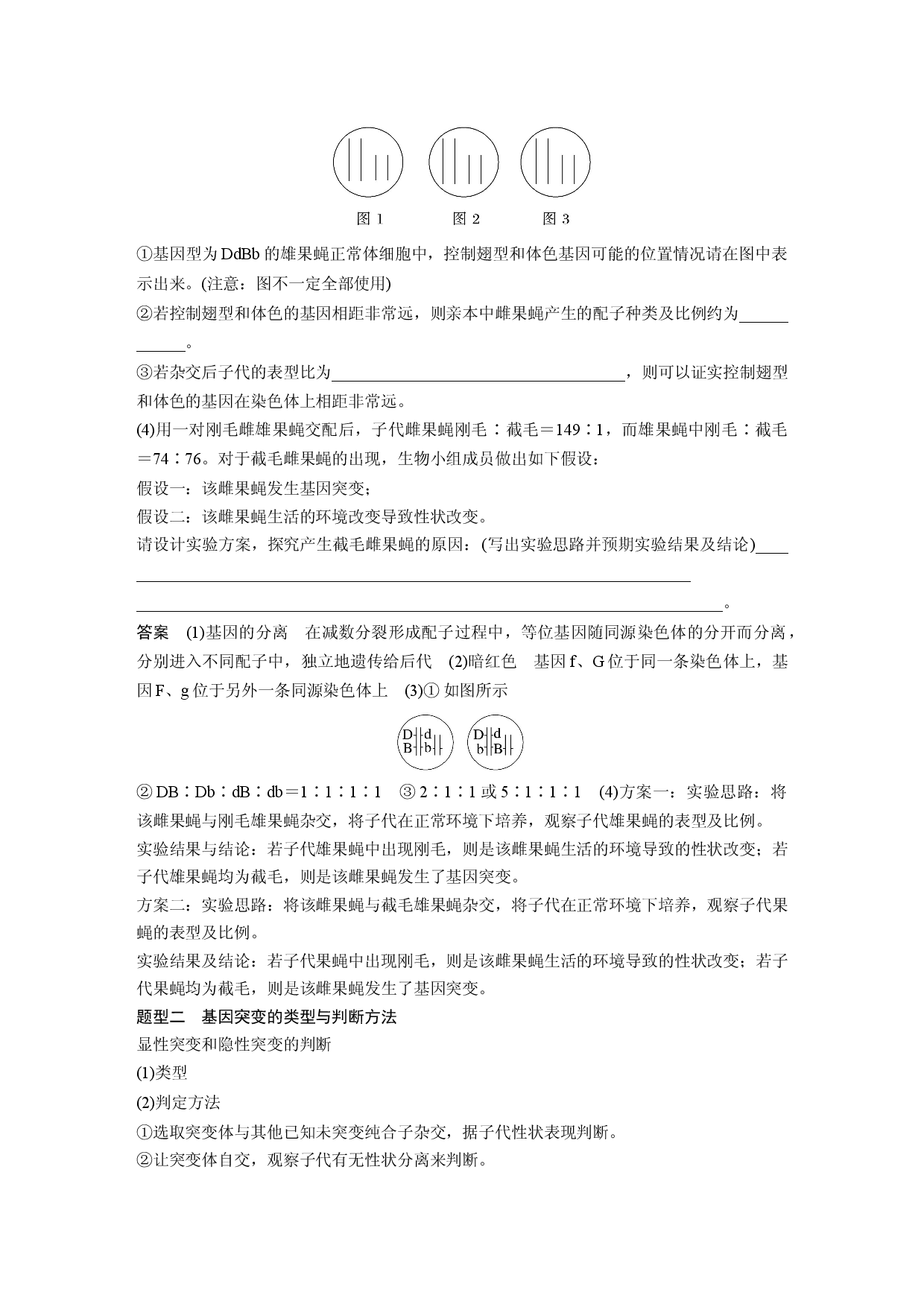 第七单元 微专题六　利用&ldquo;假说&mdash;演绎法&rdquo;解决生物变异实验探究题.docx 第2页