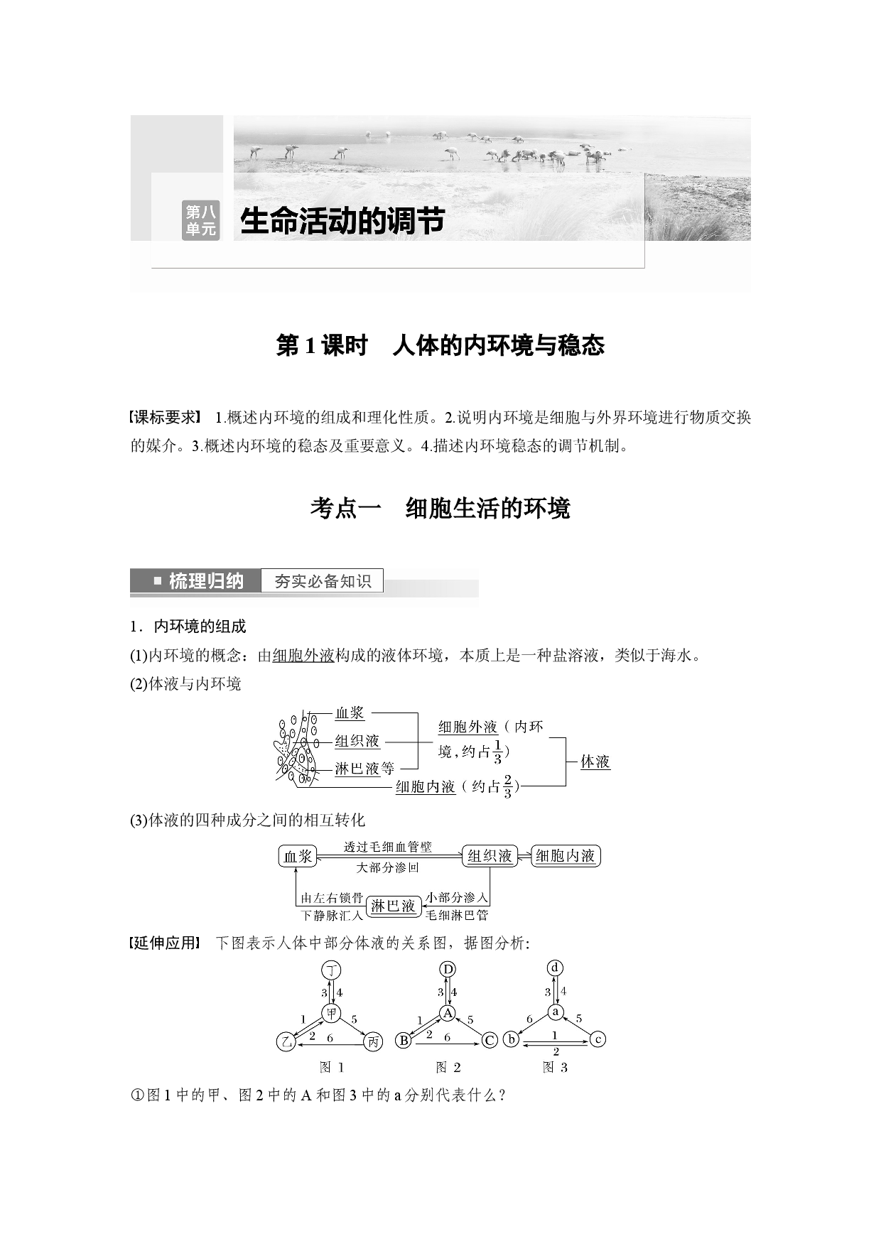 第八单元 第1课时　人体的内环境与稳态.docx 第1页