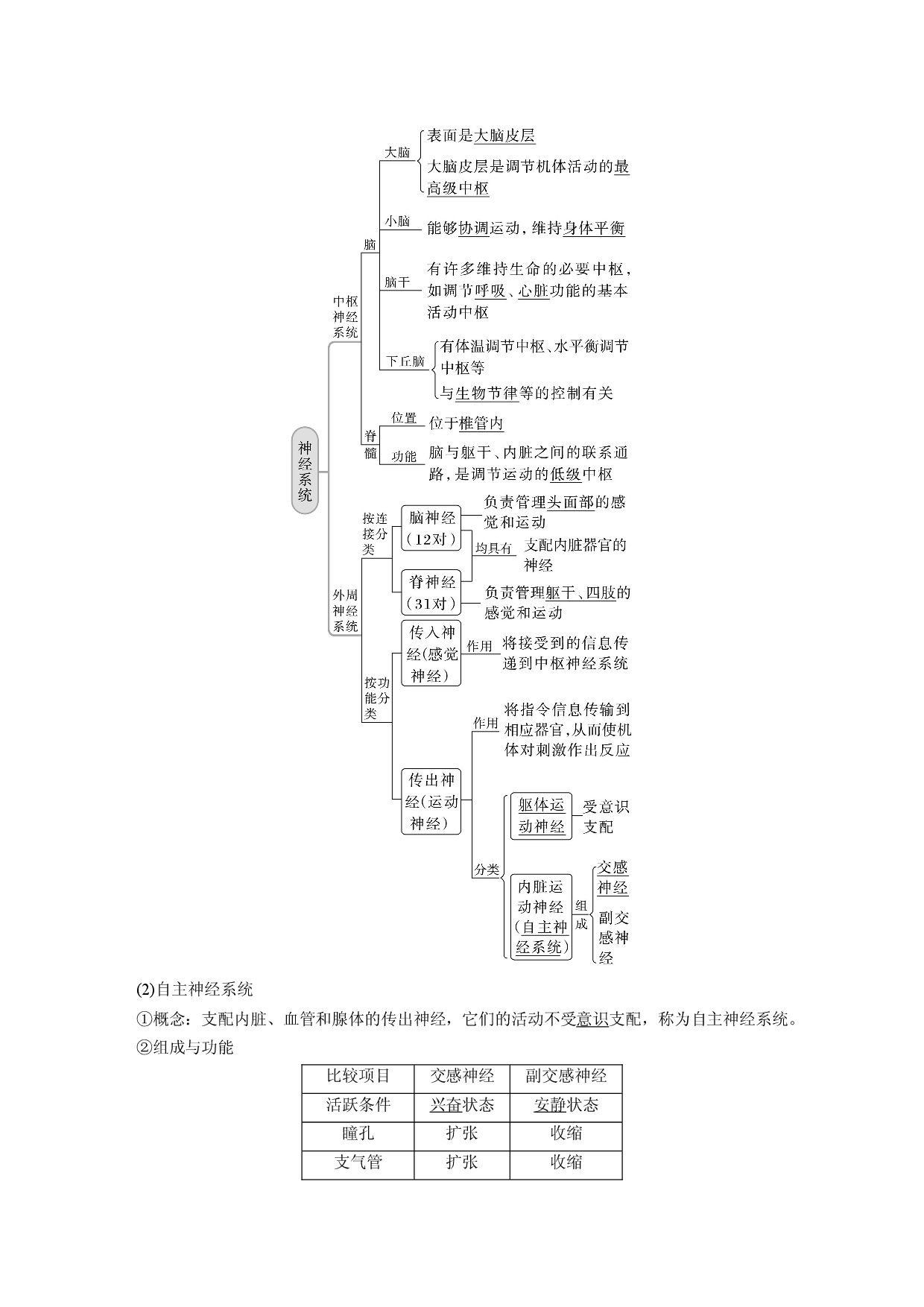 第八单元 第2课时　神经调节的结构基础及基本方式.docx 第2页