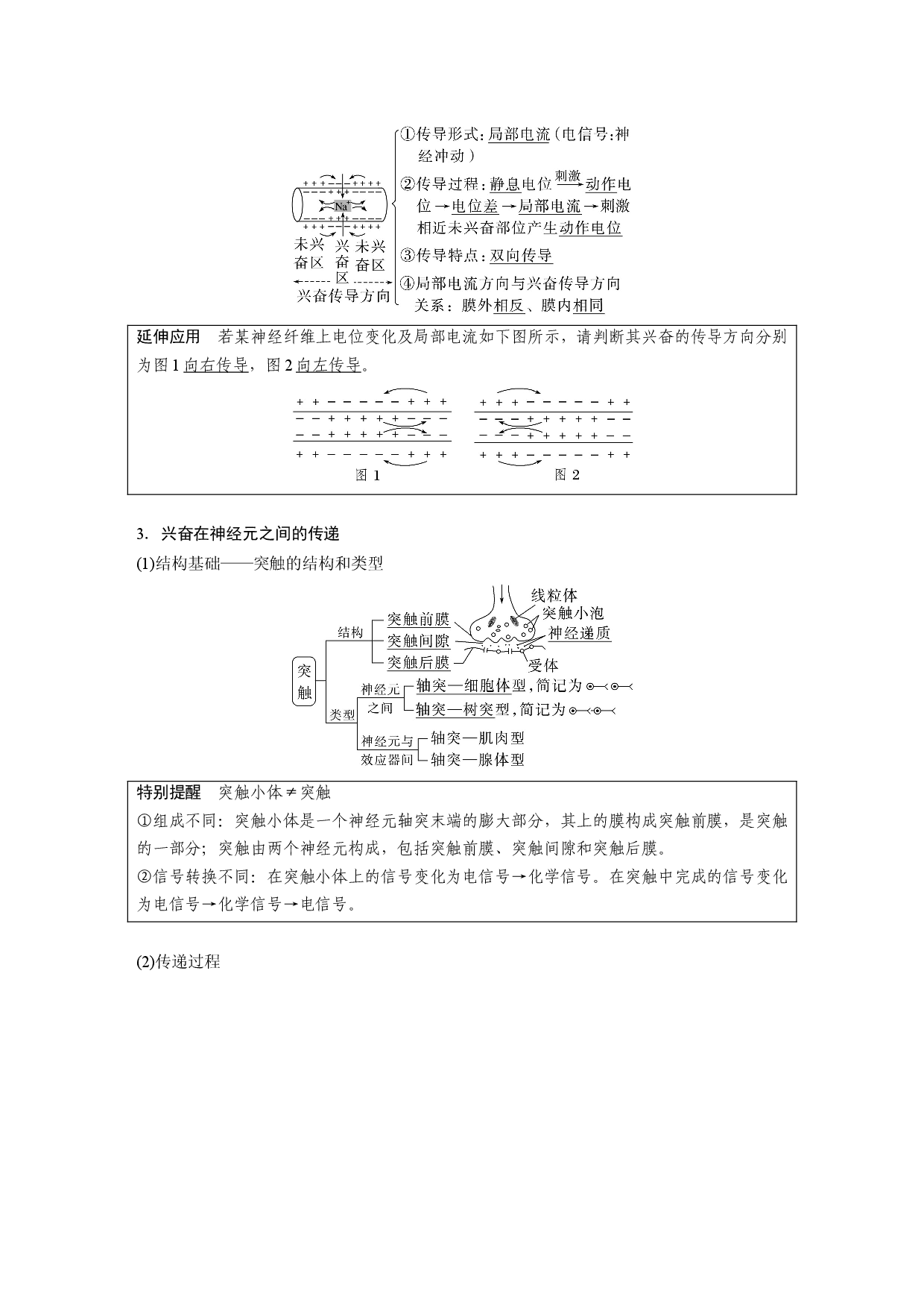 第八单元 第3课时　神经冲动的产生和传导、神经系统的分级调节及人脑的高级功能.docx 第2页