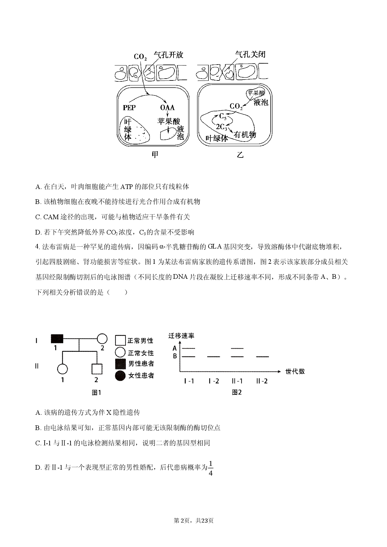 2026年四川省南充市高考生物适应性试卷.docx 第2页
