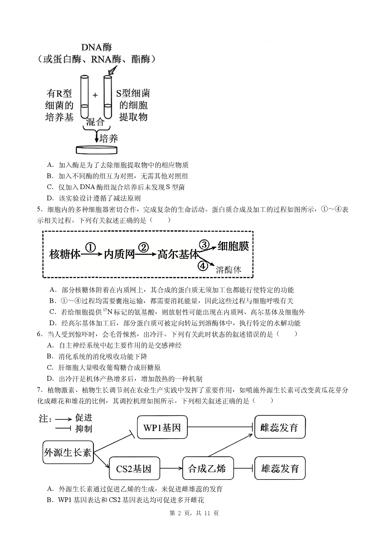 2026年广东省汕尾市高中高考生物热身模拟题四.docx 第2页