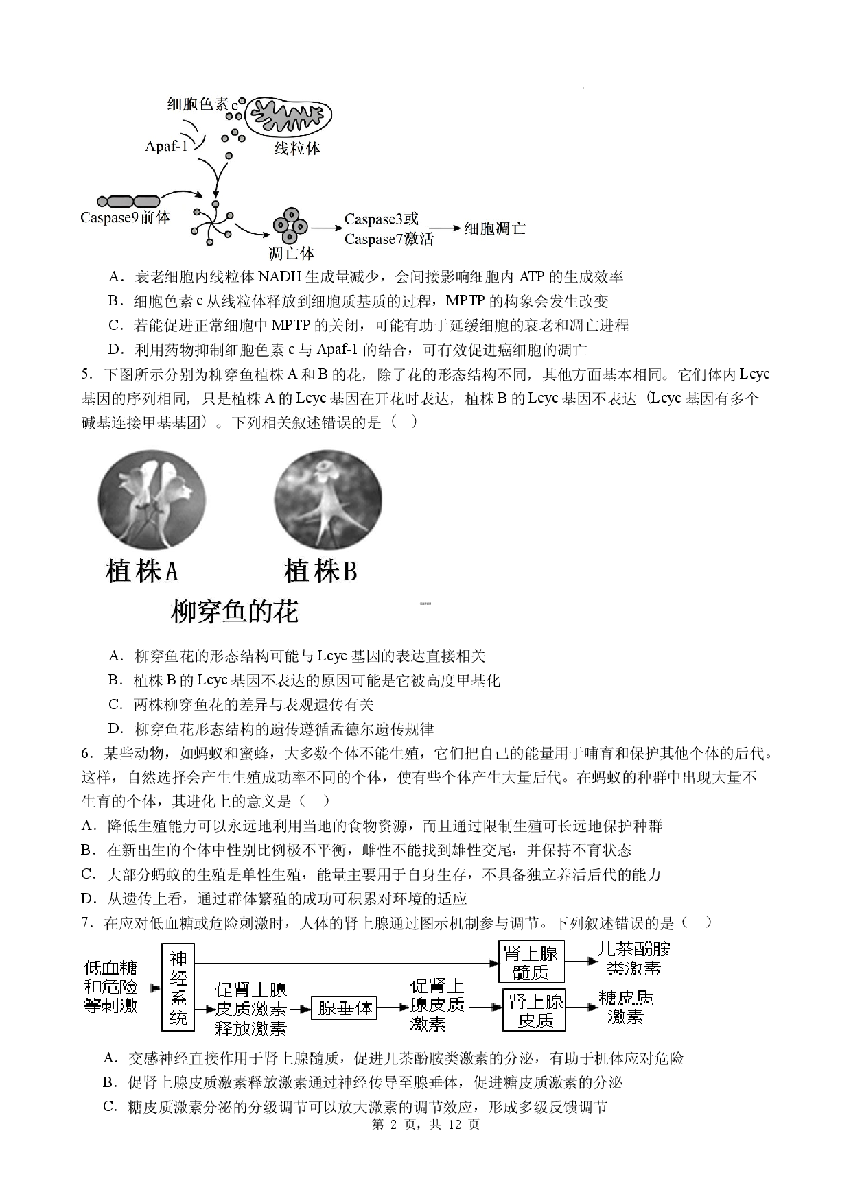 2026年广东省汕尾市高中高考生物热身模拟题一.docx 第2页