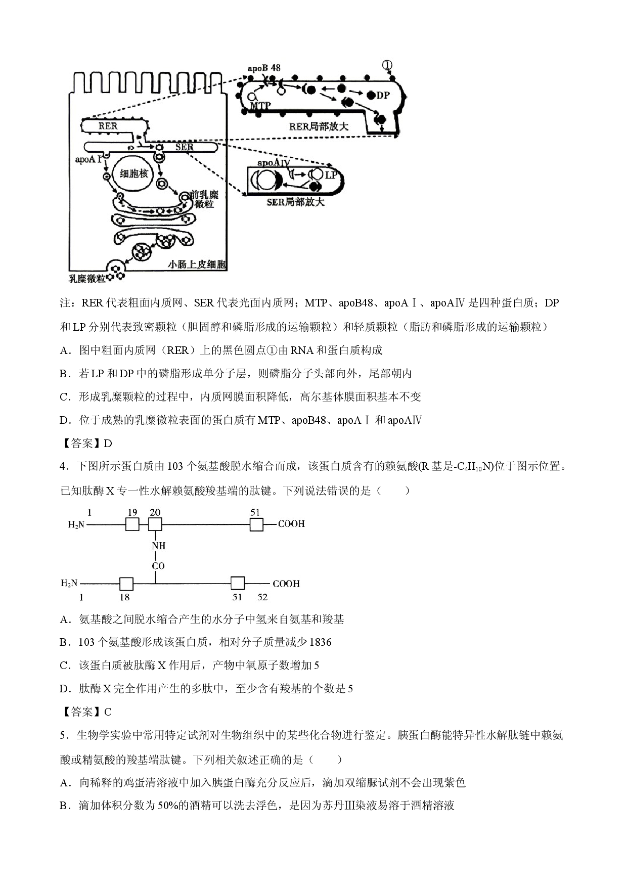 【生物】甘肃省白银市第十中学2026-2027学年高三上学期开学考试.docx 第2页