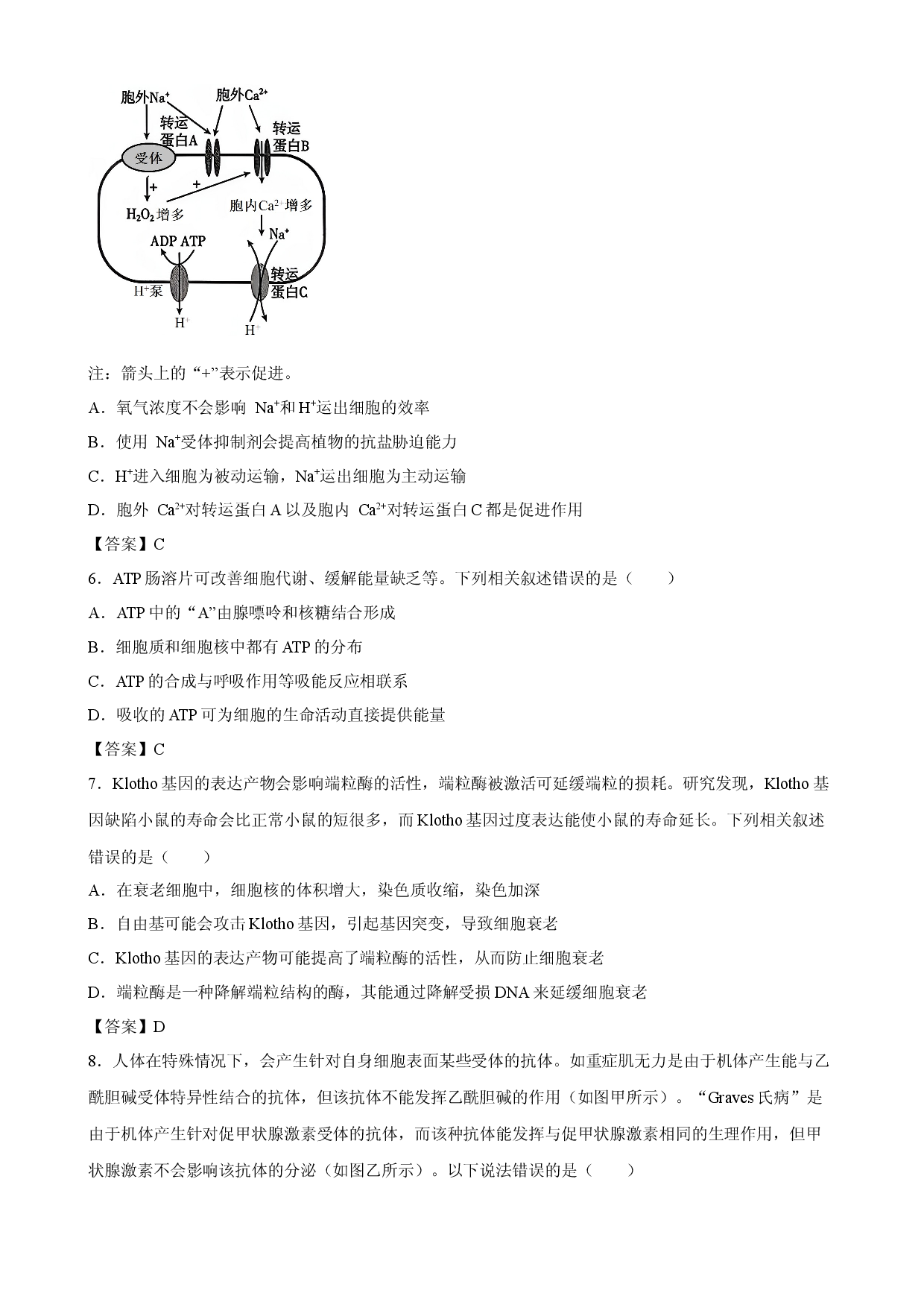 【生物】湖南省株洲市第四中学2027届高三上学期开学考试.docx 第2页