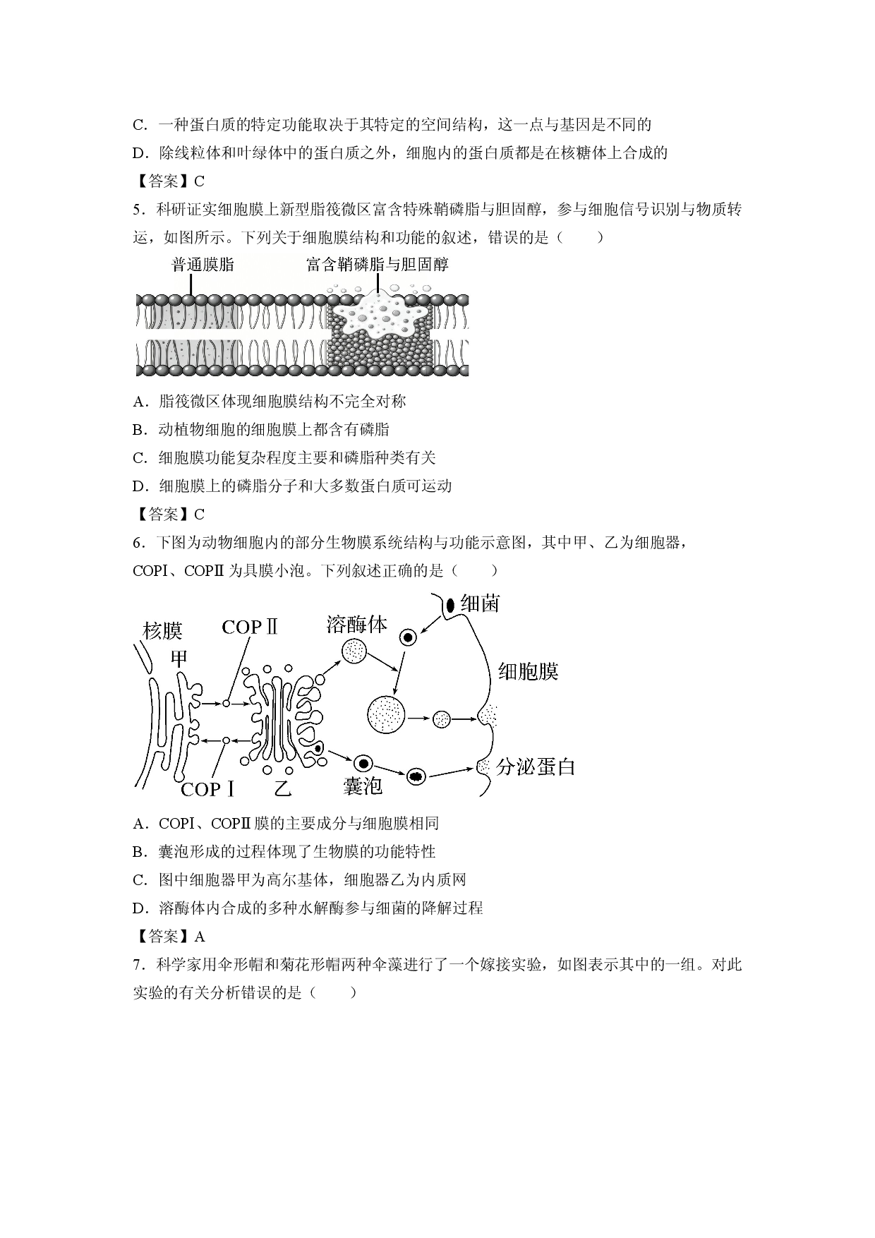 【生物】天津市第四十三中学2025-2026学年高一下学期期末考试试题.docx 第2页